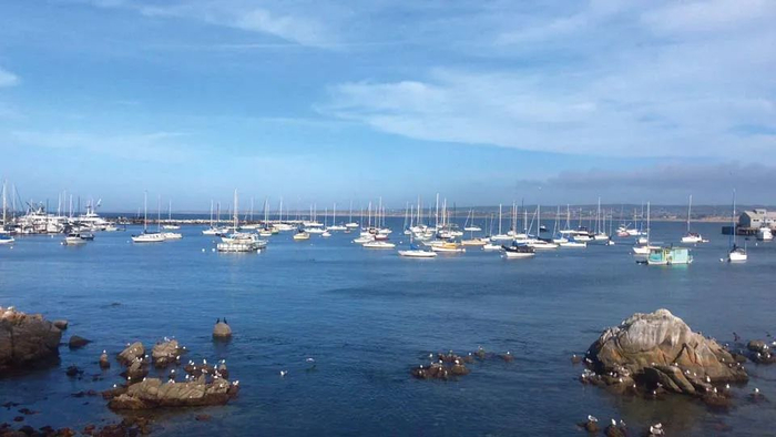 蒙特雷的海滩 尘雪 摄