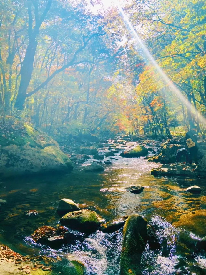 ▲本报记者 丁宁摄