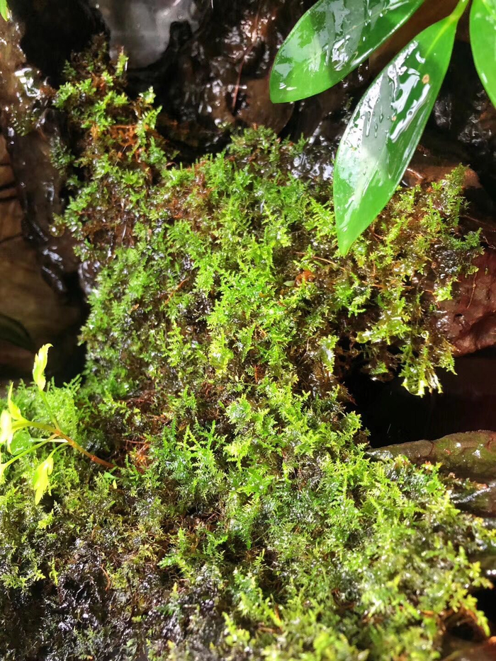 蓝海浪家的阳台。受访者供图