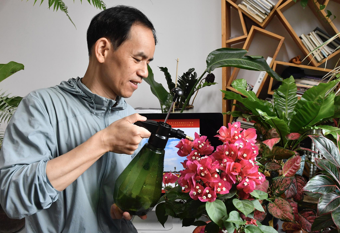 蓝海浪在给三角梅浇水。新京报记者 吴宁 摄