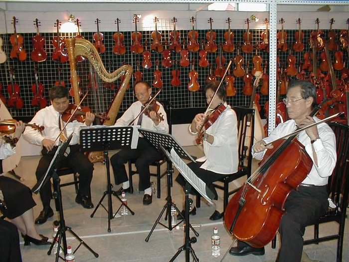 ▲江苏泰兴，溪桥，“提琴之乡”办起首个乐器节，上海音乐学院的老师应邀在展会上演奏。（吴建林 摄）图/视觉中国