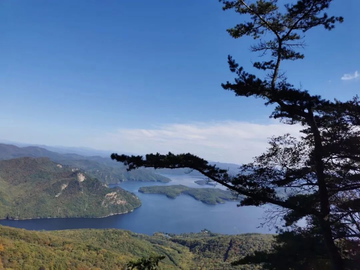 ▲本报记者 张晓宁摄