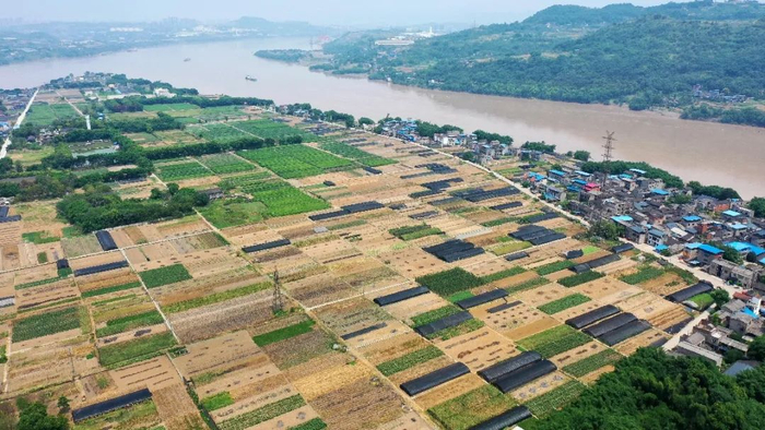 莲花街道中坝 市地理遥感中心供图