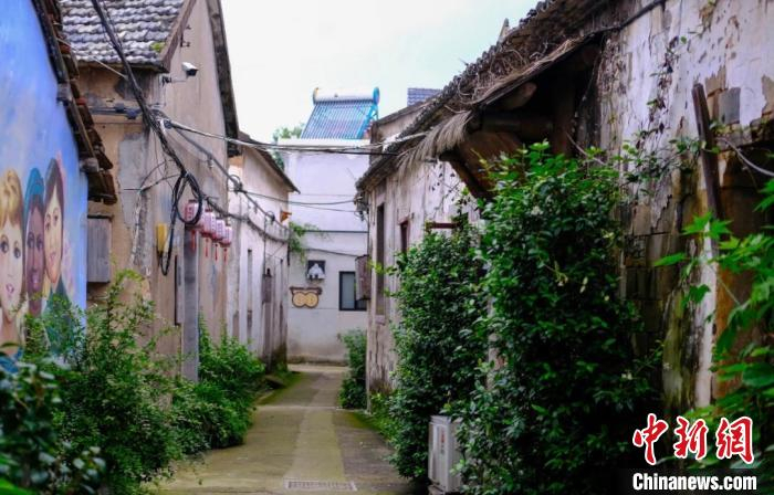 琐园村青石小巷。金东宣传部供图