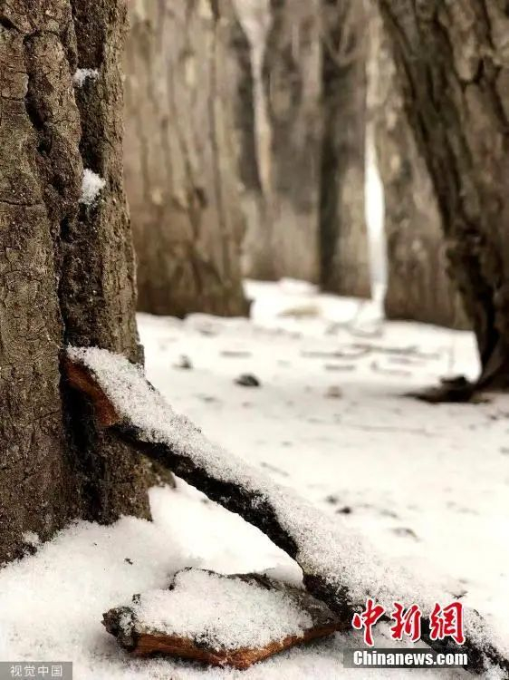 资料图。来源：ICphoto