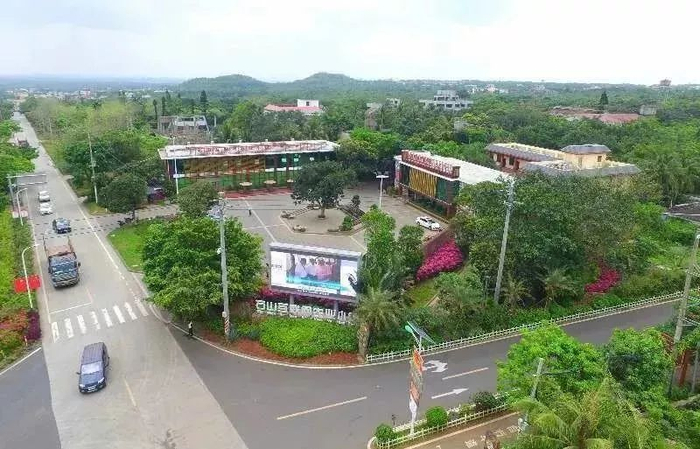 海口日报记者 黄一冰 摄