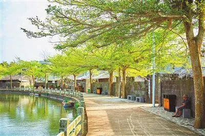 冯塘村村景一角。海南日报见习记者 封烁 摄