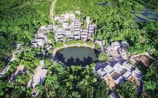 海口冯塘村 写煌 摄