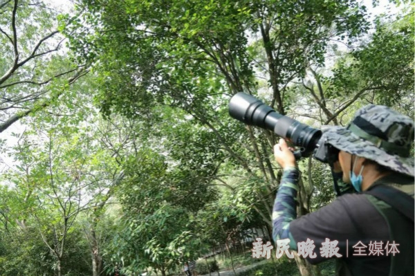 图说：观鸟爱好者在拍摄。王凯 摄（下同）