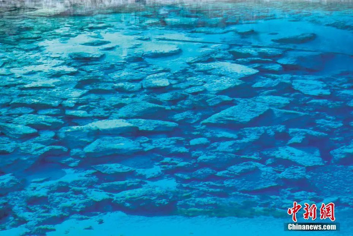 黄焱红 摄 图片来源：CTPphoto