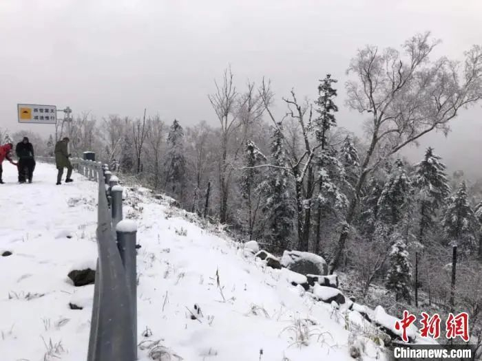 雪乡附近公路上，游客下车赏雪、玩雪。王焕新 摄