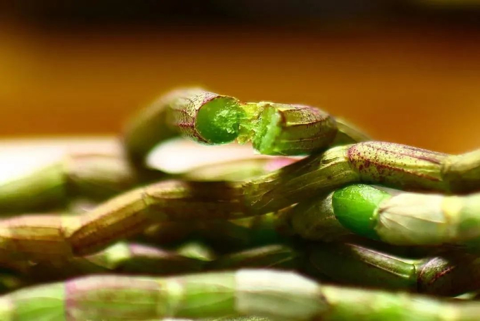 图源：视觉中国