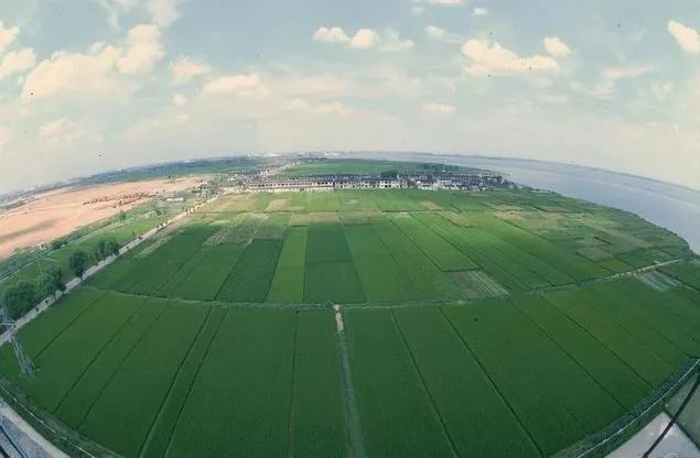 ▲金鸡湖西旧貌