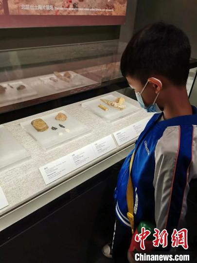 图为假期间，一名学生在河南博物院内观看展出文物。　洪明星 摄