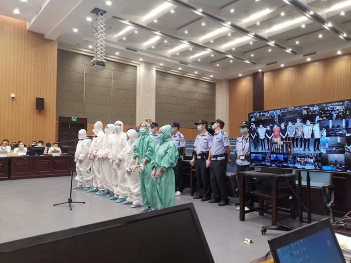 主法庭庭审照片