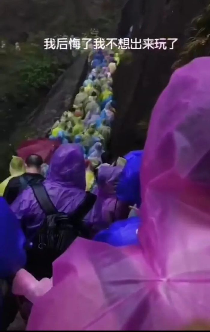 社交平台上广为流传的一段视频截图