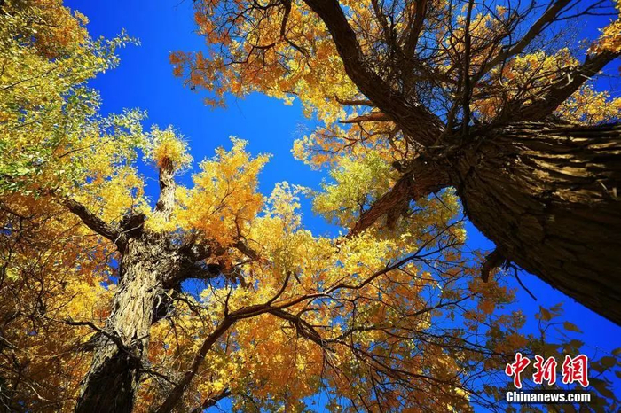 资料图。李靖海 摄