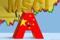 A股入摩周年：MSCI中国A股在岸指数纳入58只个股 剔除23股(名单)