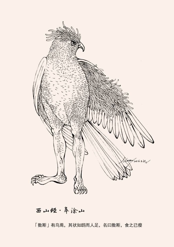 神话传说中,这二十一种名气最大的神鸟,你了解几种?