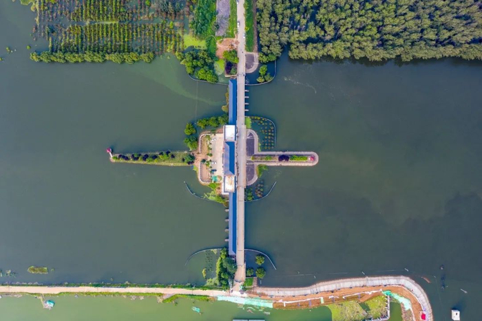 淮河东淝闸作为引江济淮入淮口，在洪涝灾害中发挥出了重要水情调控作用。新华网发（孟伟蔡传毓 摄）