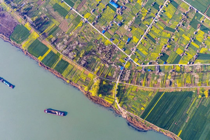 淮河春色画廊。新华网发（孟伟 摄）