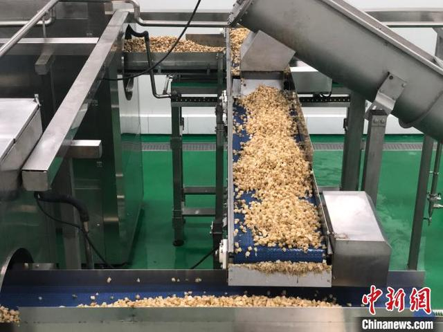 图为重庆市涪陵榨菜集团的数字化生产车间。 钟旖 摄