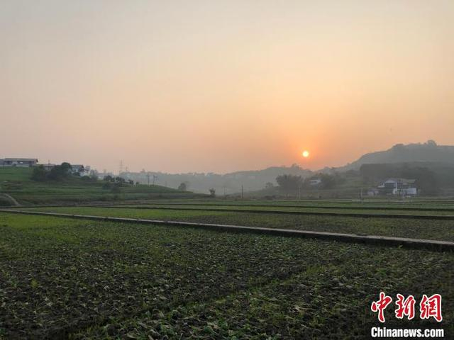 图为涪陵区国家现代农业产业园内的科研试验地。 钟旖 摄