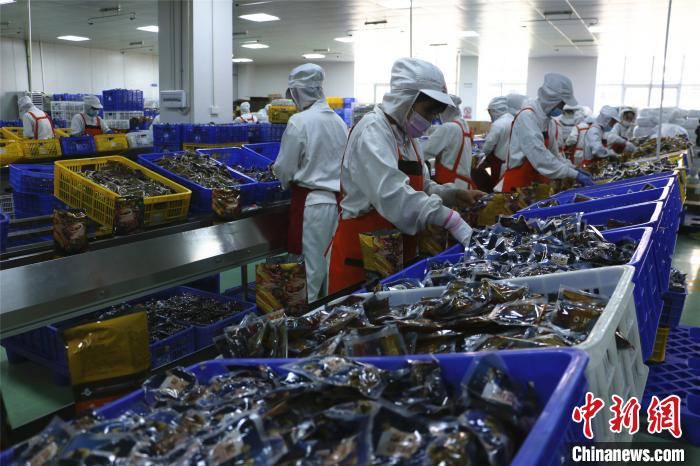 图为柳州市螺状元食品有限公司里，工人将料包装入包装袋。　林馨 摄