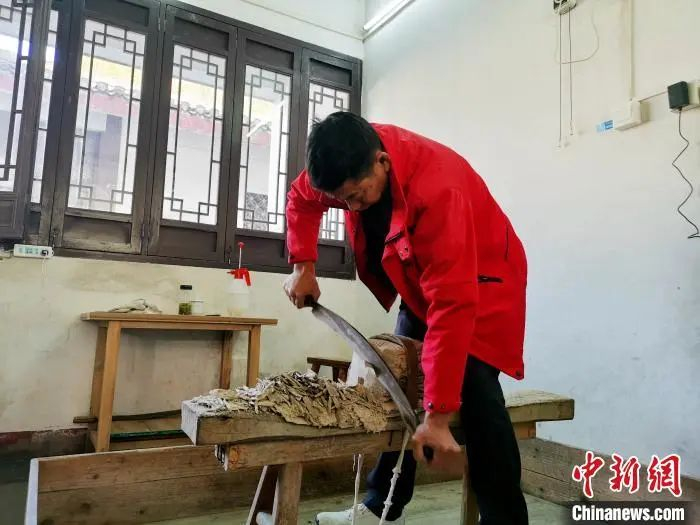 宣纸制作流程——切皮 张强 摄