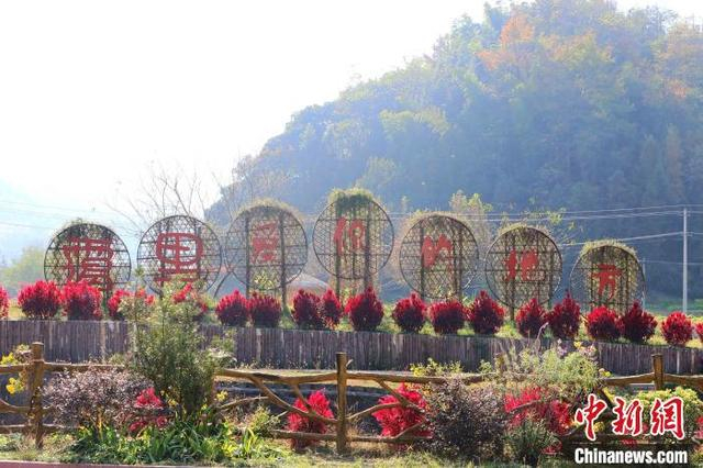 霭里村一隅。 张强 摄