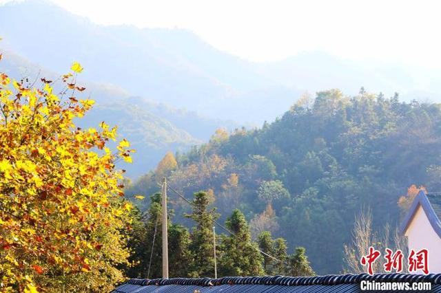 霭里村秋景。 张强 摄