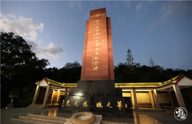 杨峥 摄