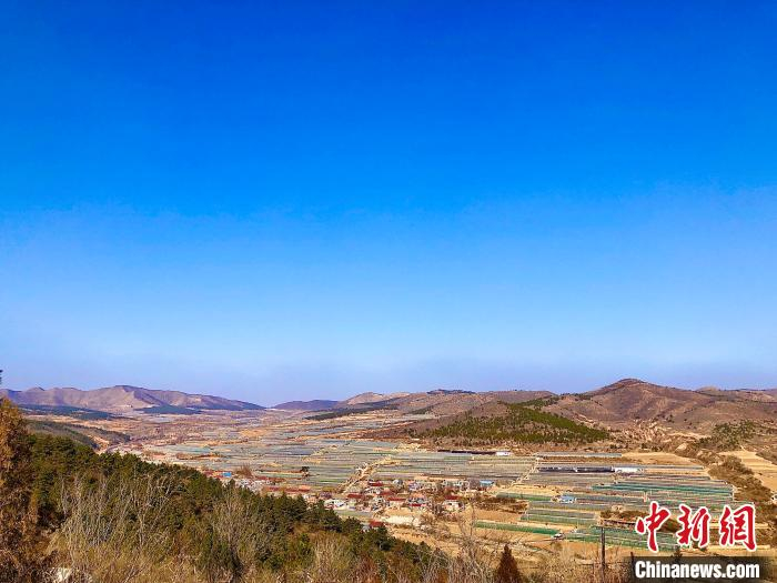 记者在凌源市城关街道农业发展观测台俯瞰当地设施农业。　李晛 摄