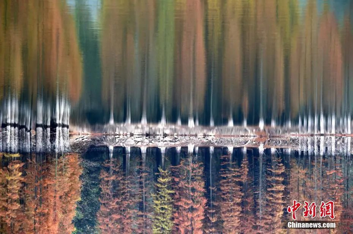 中新社发 吕斌 摄 图片来源：CNSPHOTO