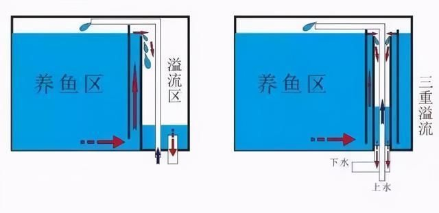 底滤鱼缸的三重溢流、直角溢流设计,各有哪些优缺点?|观赏鱼|水流|挡水|溢流管|道理_新浪新闻
