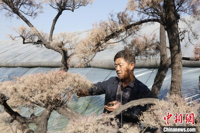 张跃进正在自己的工作室忙碌着。晋源区新闻中心供图