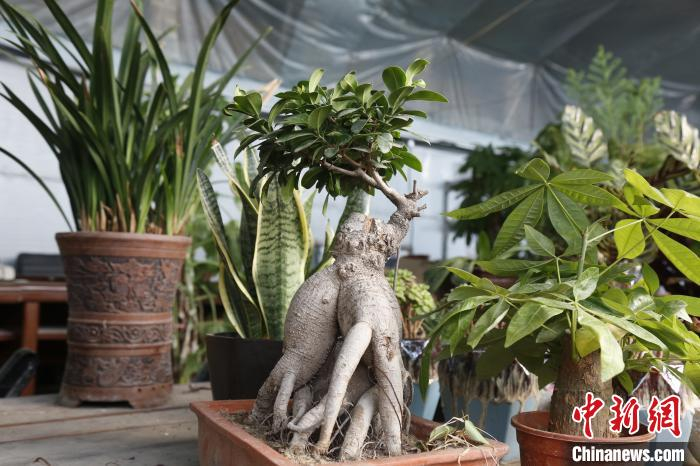 张跃进的作品。晋源区新闻中心供图