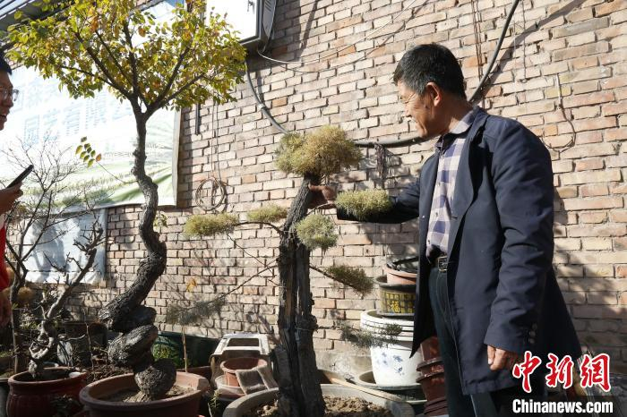 “花匠”张跃进。晋源区新闻中心供图