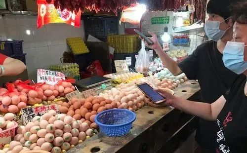 （资料图，文图无关）沙门氏菌可以污染肉类、蛋类、奶类、蔬菜等食物。