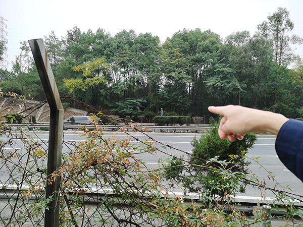 △郭贻灿老人去世前在高速公路旁的山坡躺了两天一夜