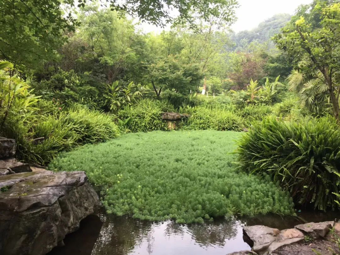 龙头寺公园（资料图）霍茂林摄