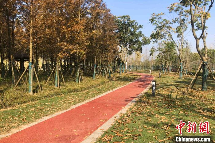 滨江公园内的自行车道 郭晓莹 摄