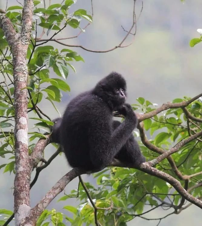 普洱市委宣传部供图