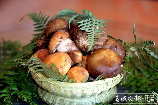 资料图 来源：春城晚报-开屏新闻