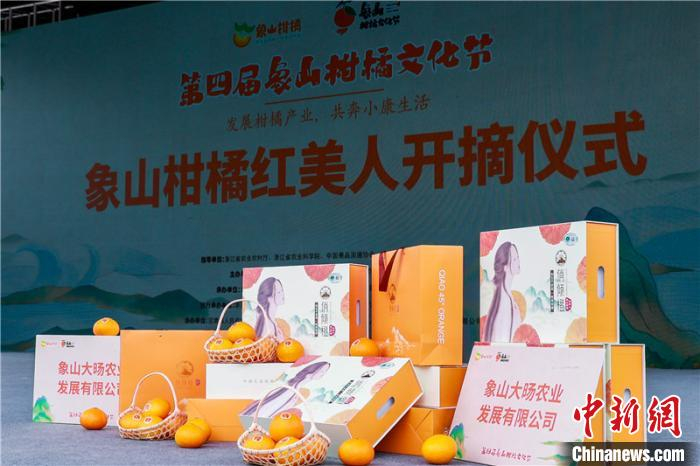 象山“红美人”柑橘。象山宣传部提供