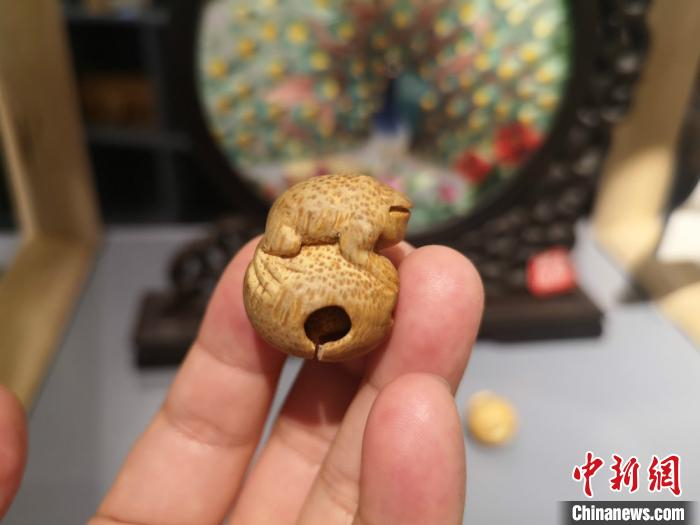 刘曼 摄
