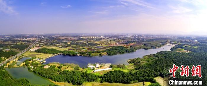 婺城乡村田野。婺城宣传部提供