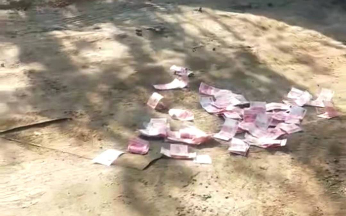 撒钱视频截图 受访者供图