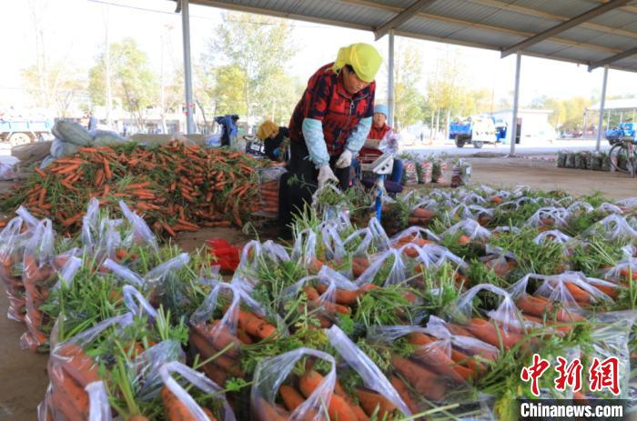 清洗装袋后的胡萝卜。长子县融媒体中心提供 
