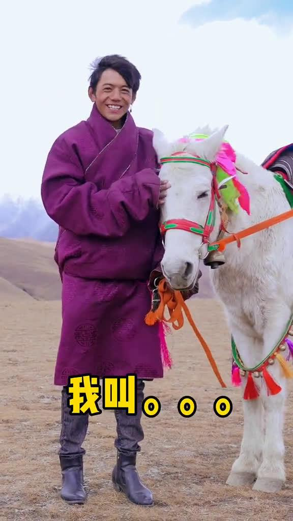 大家好这是我的小马它叫丁真我叫丁真它叫珍珠